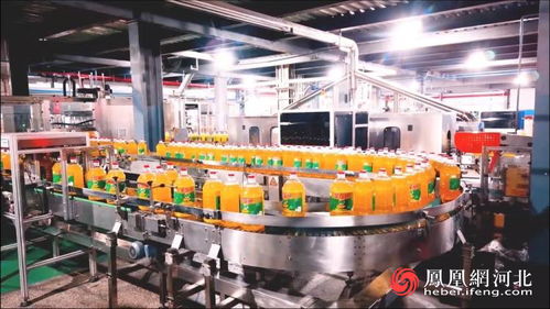 数字文创点亮港城新篇，秦皇岛打造高质量发展新引擎